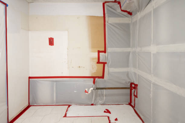 Best Post-Remediation Verification Testing  in Honeyville, UT